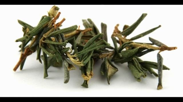 Саган Дайля: полезные свойства, эффект, как заваривать, где купить