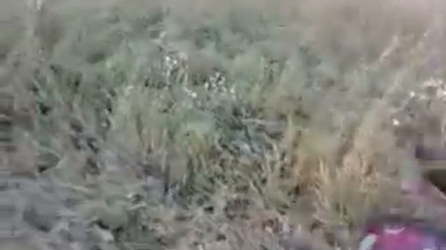 косилка к мотоблоку зубр смотреть онлайн