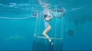 АКУЛЫ НАПАДАЮТ НА ЛЮДЕЙ