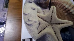 Самоклеющаяся наклейка на унитаз Кораллы