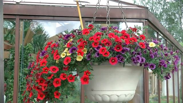 Биотехника. Цветы 2019-2020. Часть 1. смотреть онлайн