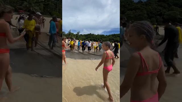 Тайцы ловят рыбу сетями за 30 минут. Сколько поймали рыбы на километровую сеть? Рыба в Тайланде 202 смотреть онлайн