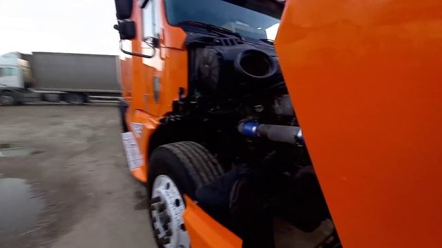 Фред экономка!!! обзор  фредлайнера!!!