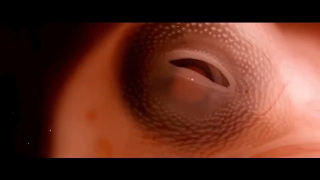История Планеты Земля! смотреть онлайн
