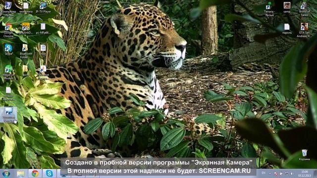 как снимать видео без камеры смотреть онлайн