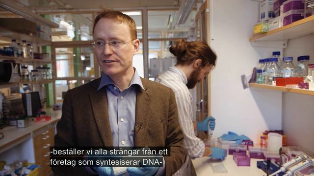 Vikt DNA kan möjliggöra cellkommunikation, Björn Högberg, KI смотреть онлайн