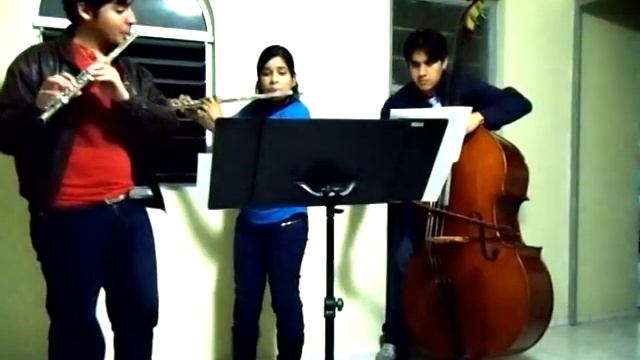 Paul Breuer - Little serenade for two flutes and double bass смотреть онлайн