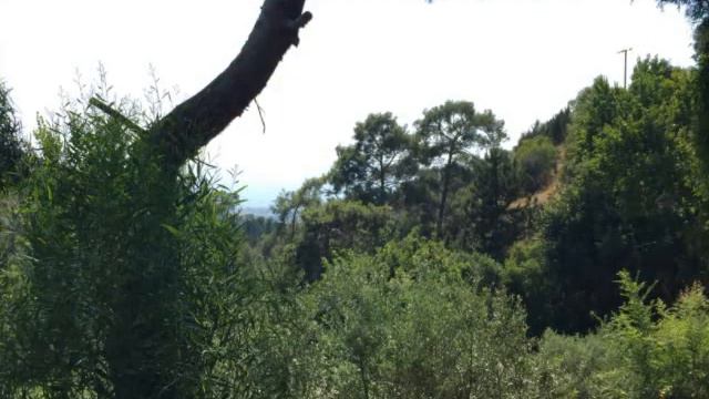 the Holy places of Cyprus in Paphos district смотреть онлайн