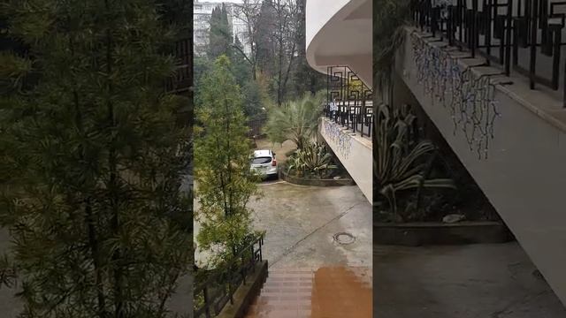 Территория дома Курортный проспект 75 Г. смотреть онлайн