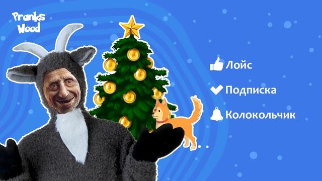 TYP808 - Шайка Дурачков 69 смотреть онлайн