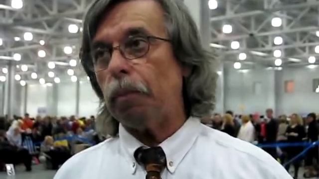 Евразия 2010. Немецкие пинчеры. Оценка кобелей смотреть онлайн