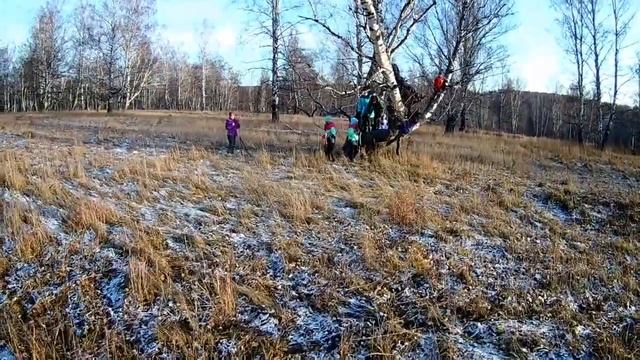 Осенний поход с палками по Уральским просторам смотреть онлайн