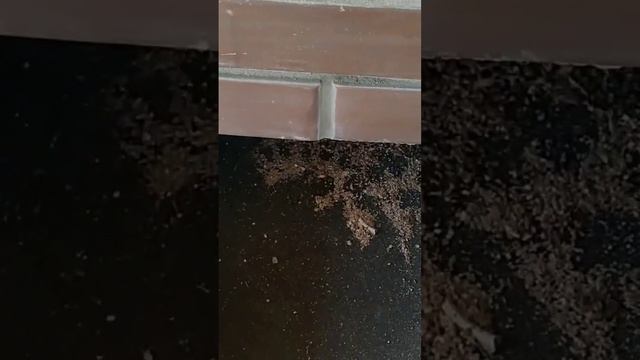 Монтаж Столешниц из Керамогранита Подробное ... смотреть онлайн