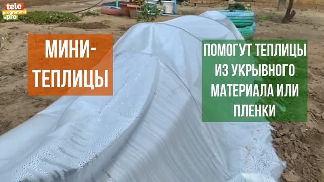 Хитрости, которые помогут вырастить хороший урожай смотреть онлайн