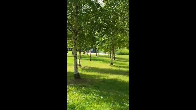 НАШ ЛЮБИМЫЙ ПАРК МАЛИНОВКА САНКТ-ПЕТЕРБУРГ. МОЕ ОПИСАНИЕ ЭТОГО ЧУДЕСНОГО Парка 4K UHD VIDEO смотреть онлайн