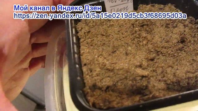 Комедийные Скетчи