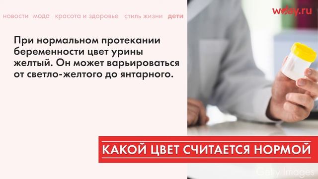 Как меняется цвет мочи при беременности смотреть онлайн
