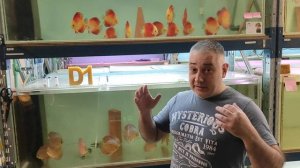 Препарат Д1. Дегидрированный кондиционер для аквариумной воды DISCUS D1