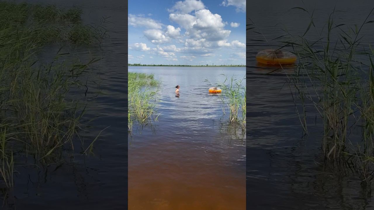 Лето #vlog #live #shorts #лето2024 #речка #купаемся смотреть онлайн