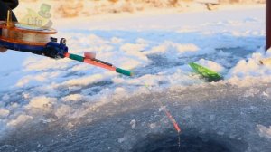 Как правильно ловить судака зимой на раттлины и вибы? Передаю опыт чемпиона Подмосковья по ловле.