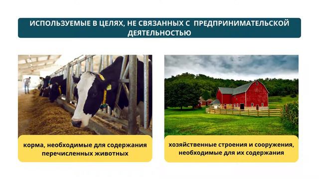 На какое имущество не может быть обращено взыскание? смотреть онлайн