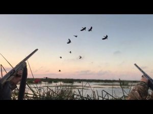 На озере долбим уток из мр 27 и мр 155. Мы не браконьеры.