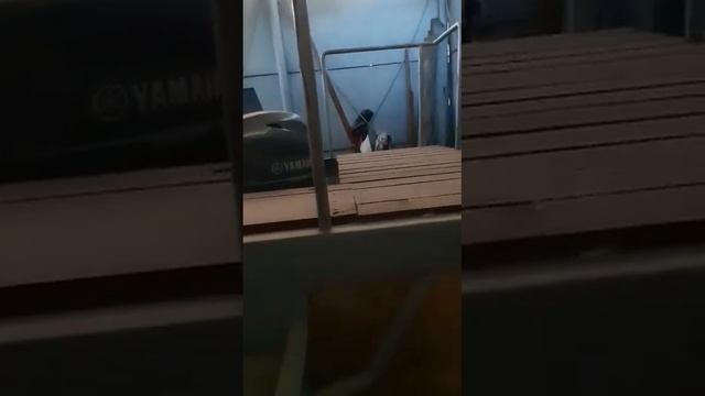 Осмотр и покупка стального катамарана в Ростове на Дону. смотреть онлайн