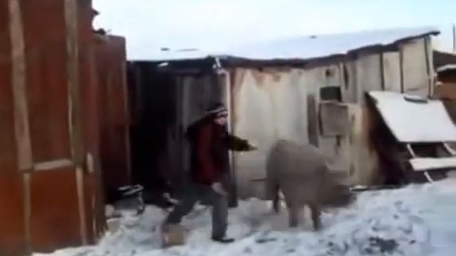 Зачем вообще нужна машина ?