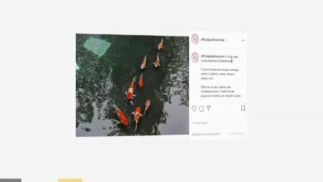 В парке Краснодар вымирают карпы смотреть онлайн