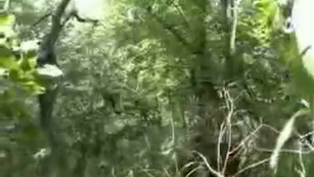 Слезы Солнца 2010 MP4 смотреть онлайн