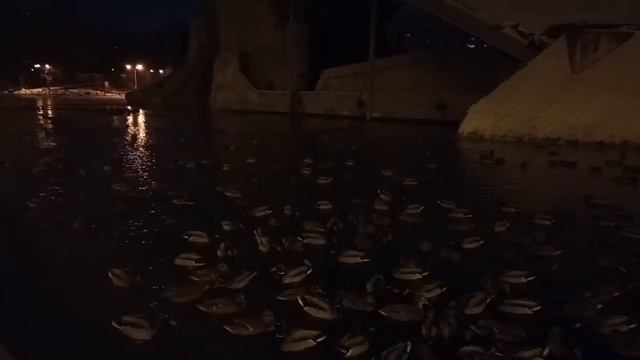 Утиный двор)❤ 17 січня 2021 р. смотреть онлайн