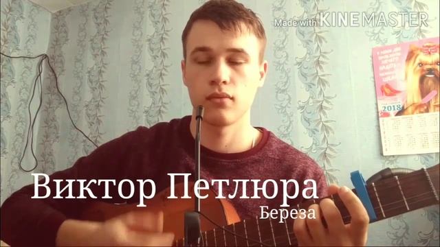 Смотреть всем кавер на песню Виктор Петлюра Берёза смотреть онлайн
