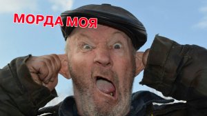 “МОРДА МОЯ” исп: Евгений Севрюков