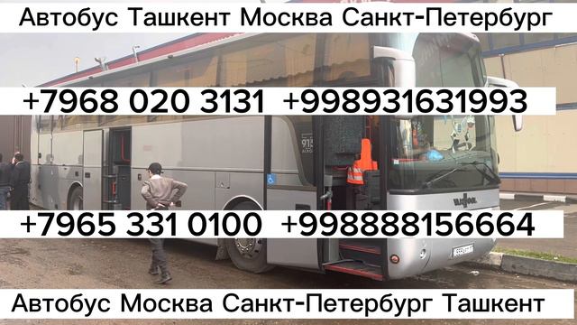 Москва Ташкент Такси.Санкт-Петербург автобус Узбекистан Самарканд Бухара едет из России ,прямой рей смотреть онлайн