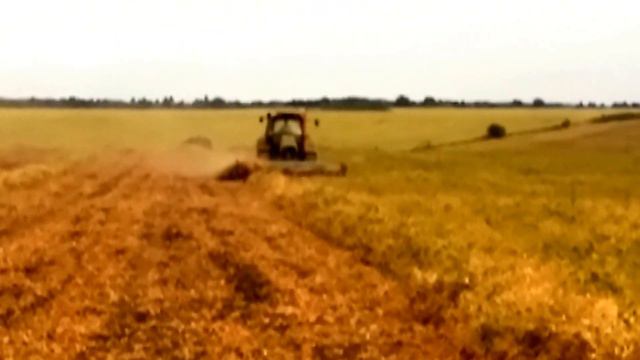 машинно скубане на бял боб, mechanical plucking of white beans with Deutz-Fahr M640 and FUERTES смотреть онлайн