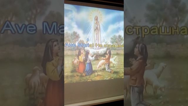 Ave Maria от Лили. смотреть онлайн