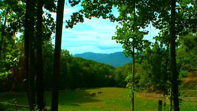 Balsam Mountain Preserve WNC