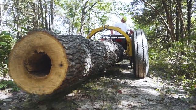 Eco Log: Suspended Carry Logger смотреть онлайн