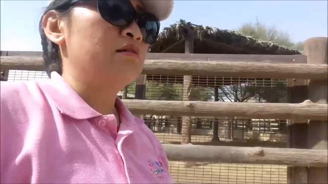 ALL ABOUT AL KHOR PARK | AL KHOR ZOO 2020 | QATAR смотреть онлайн