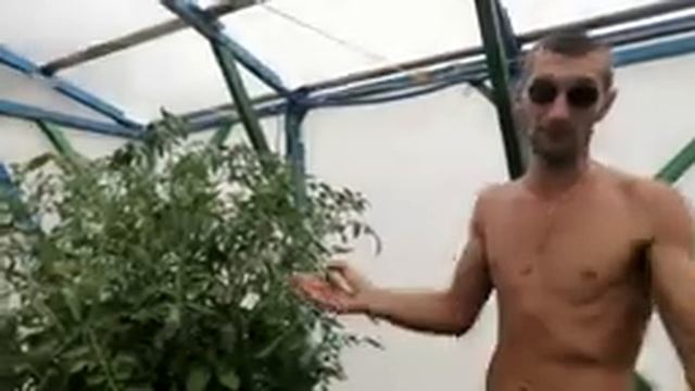 Википедия нам ВРЁТ!?☀Температура раствора за 30 градусов ? смотреть онлайн