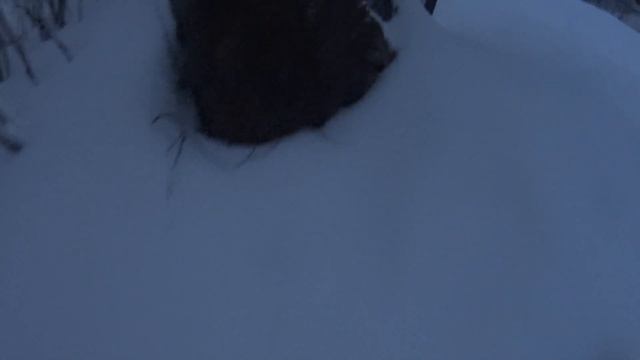 Мышонок Джоди смотреть онлайн