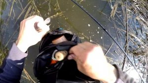 ЛОВЛЯ КАРАСЯ на БОКОВОЙ КИВОК в ГУСТОМ КАМЫШЕ! РЫБАЛКА на КАРАСЯ 2020