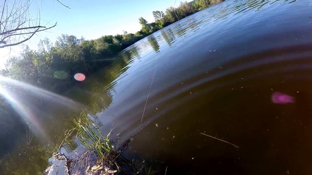 Рыбалка в Тольятти на спиннинг. Микроджиг. Озера. Май 2017. смотреть онлайн