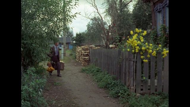 Афоня: 