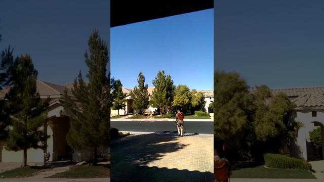 How to Make a High Performance Longbow (Mollegabet design) for under $25, Part 10: Shooting смотреть онлайн