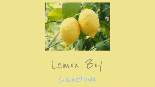 Lemon Boy {Cavetown} ●Cover by Solstice смотреть онлайн