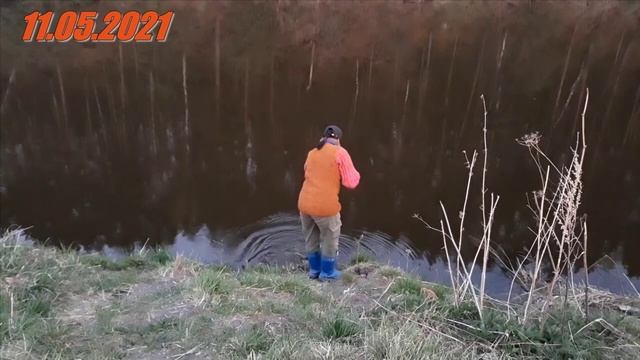 Щука в мае на спиннинг и живца — Свердловская область речка Реж смотреть онлайн