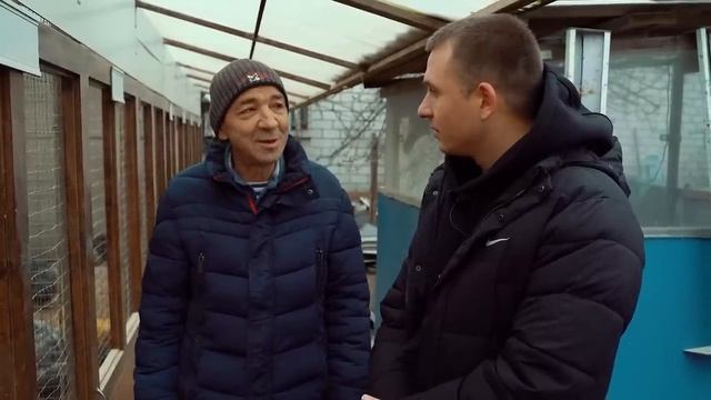 Разведение породистых кур. Сколько можно заработать на птице. Птицеводство как бизнес смотреть онлайн