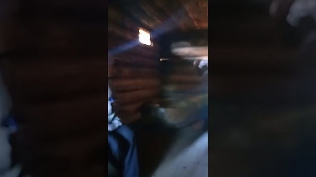 Тальцы музей деревянного зодчества Иркутск архитектура дом из дерева сруб изба озеро Байкал туризм смотреть онлайн