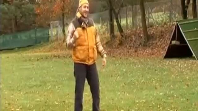 Леонбергер - Полное Описание Породы смотреть онлайн